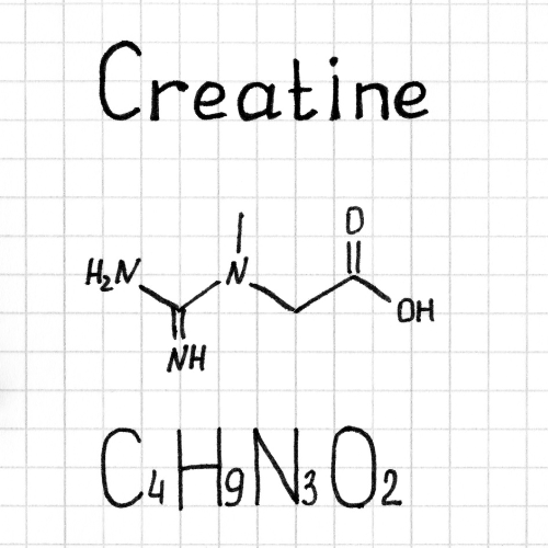 Tout savoir sur le rôle de la créatine chez les sportifs : ce que disent les études scientifiques